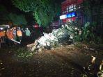 pohon-tumbang-pasca-hujan-deras-di-jalan-abu-bakar-ali-kotabaru.jpg