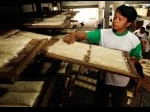 produksi-kedelai.jpg