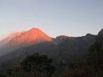 puncak-merapi-dilihat-dari-jalur-pendakian-sapuangin-klaten-jawa-tengah_20170417_100537.jpg