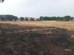 rumput-alun-alun-utara-sisi-barat-terbakar.jpg