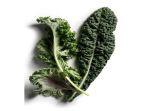 sayur-kale-231224.jpg