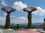 sejumlah-wisatawan-berkunjung-ke-destinasi-wisata-bukit-sidoguro.jpg