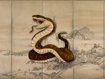 shio-ular-9.jpg