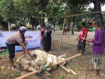 suasana-penyembelih-hewan-kurban-oleh-bmm-yogyakarta-melalui-program-qurban-prioritas.jpg