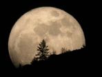 supermoon_0312_20171203_223401.jpg