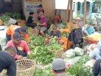 tak-bisa-jual-hasil-panenpetani-sayur-di-magelang-berikan-3-ton-sayuran-gratis-untuk-masyarakat.jpg
