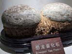 telur-dinosaurus-yang-ditemukan-di-china_20181011_112617.jpg