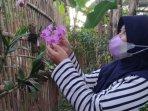 tidak-mudik-karena-takut-diputar-balik-warga-bandung-ini-pilih-rawat-tanaman-di-rumah-sleman-saja.jpg