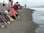 tumbuhkan-kepedulian-kelestarian-penyu-wisatawan-diajak-lepaskan-tukik-di-pantai-trisik.jpg