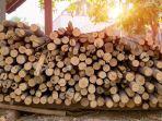 tumpukan-kayu-bakar.jpg
