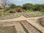 unik-warga-klaten-ini-sulap-lahan-jadi-kebun-bermotif-batik.jpg