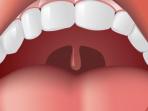 uvula_20160229_160537.jpg