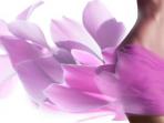 vagina_hdsg_20160701_232124.jpg