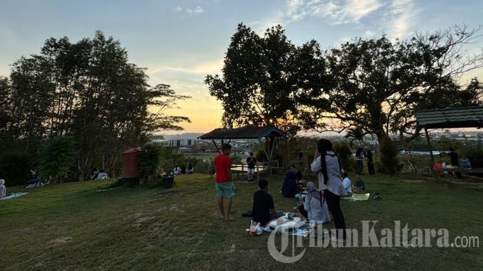 17052026 Bukit Agathis di Tanjung Selor 02