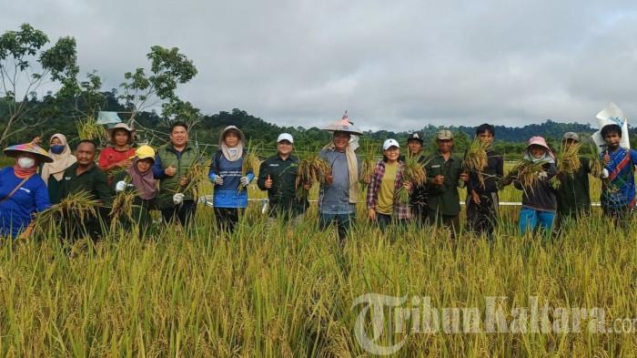 201125 panen Satgas Pesat Malinau 1