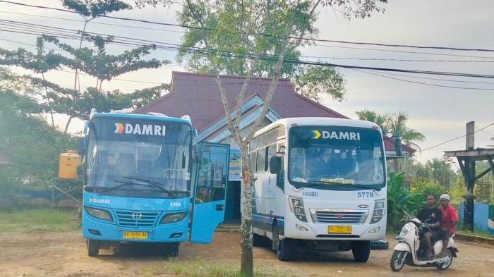 JADWAL DAMRI - Tampak Bus Damri saat parkir di Pool Damri yang berada di Jalan Perintis, Tideng Pale, Kecamatan Sesayap, Tana Tidung, Kaltara, Sabtu (13/6/2026).  Catat info Bus Damri hari ini dari Tana Tidung ke Malinau, tersedia Jadwal Damri, hingga harga tiket terbaru. (TribunKaltara.com/Rismayanti)