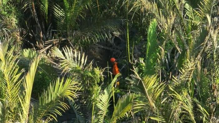 Basarnas Tarakan cari orang hilang di hutan 022 04062026