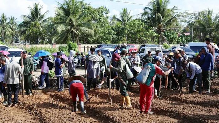 TANAM JAGUNG - Bupati Malinau Wempi W Mawa saat menanam bibit jagung unggul di lahan Pemkab Malinau, Sabtu (9/5/2026). Aksi nyata Pemkab Malinau ini sukses mengubah lahan tidur menjadi sumber baru ketahanan pangan dan lapangan kerja masyarakat.
(TRIBUNKALTARA.COM/HO-HUMAS PEMKB MALINAU-JAMSEN)