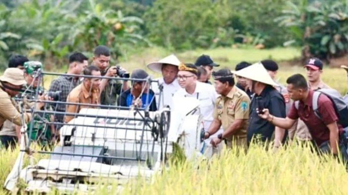 Kaltara Mampu Produksi Padi 30.080 Ton pada 2024, Meningkat 27,45 Persen dari 2023