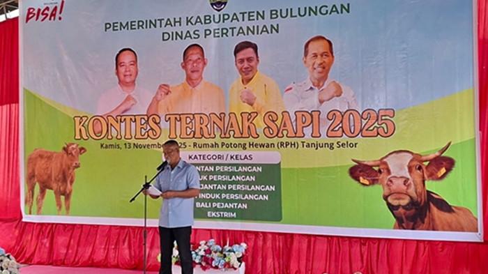 KONTES TERNAK - Bupati Bulungan, Syarwani, saat hadiri Kontes Ternak 2025. Rumah Potong Hewan (RPH) di Jalan Sabanar Lama, Tanjung Selor, menjadi pusat perhatian masyarakat pada Kamis (13/11/2025) dengan digelarnya Kontes Ternak 2025.