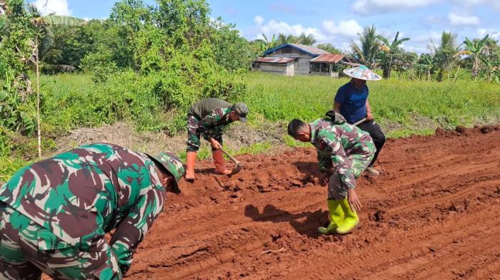 Progres TMMD ke-126 di Desa Limbu Sedulun Tana Tidung Capai 32 Persen, TNI dan Warga  Gotong Royong