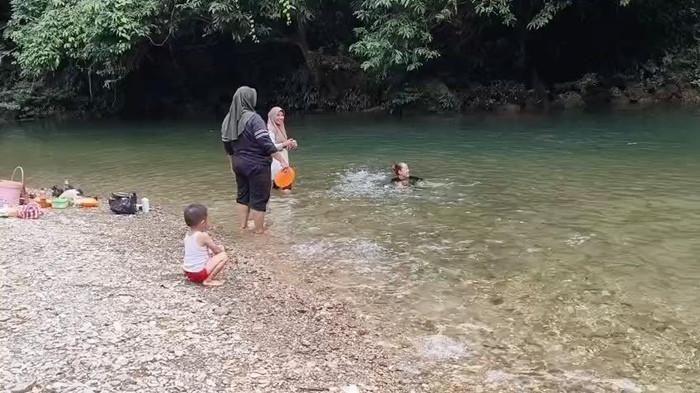 Ribuan ikan mendekati pengunjung saat diberi makan di Tane Olen, Setulang, Kabupaten Malinau