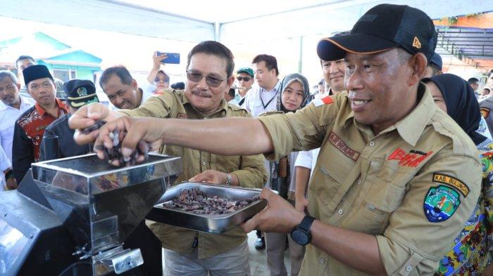 Produksi Kakao Digenjot, Dua Desa di Bulungan jadi Percontohan: Hasilkan 500 Kg Lebih Tiap Bulan