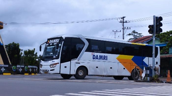 JADWAL DAMRI - Tampak Bus Damri dari Tanjung Selor yang siap layani rute ke Berau hingga Samarinda, saat dibadikan di Tanjung Selor baru-baru ini. (TribunKaltara.com / Amiruddin)