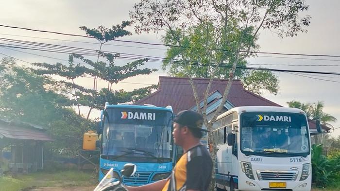JADWAL DAMRI - Tampak Bus Damri rute KTT-Malinau yang akan berangkat melalui terminal di Jalan Perintis, Tideng Pale, Kecamatan Sesayap, KTT, Kaltara, Rabu (3/6/2026). Jangan lupa cek tiket Damri Tana Tidung ke Malinau pada Rabu 3 Juni 2026, yang menyediakan dua jadwal keberangkatan per hari. (TribunKaltara.com /Rismayanti)