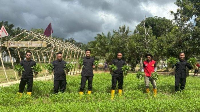 LAPAS PANEN RAYA - Lewat program ketahanan pangan yang digelar di kawasan Sarana Asimilasi Edukasi (SAE) Lapas Nunukan, Lapas Kelas IIB Nunukan sukses memanen 125 kilogram (Kg) sayuran segar hasil kerja keras warga binaan, Sabtu (19/04/2025), siang.