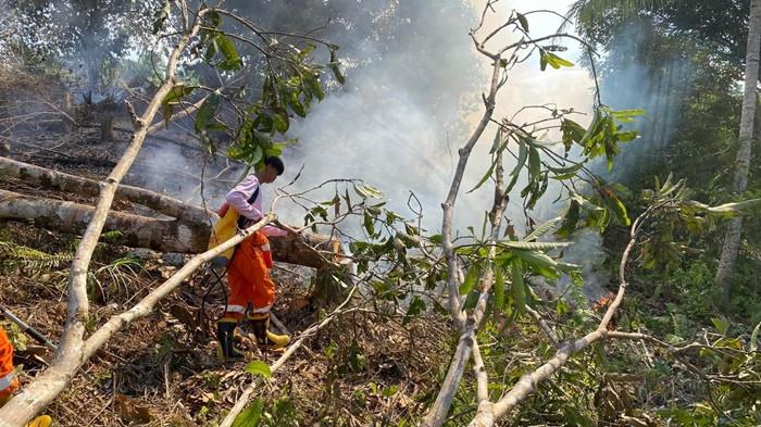 KARHUTLA NUNUKAN - Petugas gabungan dari BPBD Nunukan, MPA, dan kepolisian berjibaku memadamkan kebakaran hutan dan lahan di Jalan Anastasia Wijaya RT 03, Kelurahan Mansapa, Kecamatan Nunukan Selatan, Jumat (8/5/2026). Kebakaran yang menghanguskan sekitar 1 hektare lahan tersebut, berhasil dipadamkan pada pukul 16.00 WITA, meski petugas terkendala sumber air dan akses menuju lokasi. (TribunKaltara.com/Istimewa-Hasanuddin)