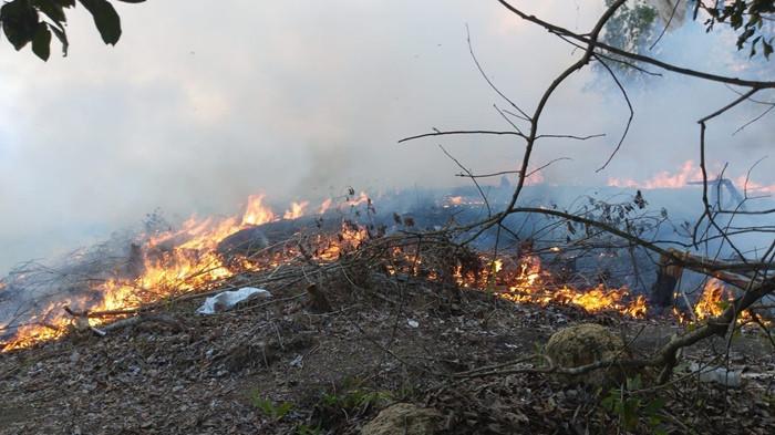 KARHUTLA DI NUNUKAN - Tampak kebakaran hutan dan lahan (karhutla) di Jalan Anastasia Wijaya, Kelurahan Mansapa, Kecamatan Nunukan Selatan, Sabtu (18/4/2026). Api yang melalap lebih dari 2 hektare lahan berhasil dipadamkan setelah upaya intensif selama kurang lebih tiga jam di tengah kondisi angin kencang dan keterbatasan jarak pandang.