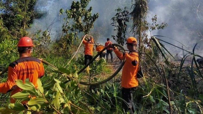 BMKG Beri Peringatan, Titik Panas Banyak Disertai Kemudahan Terbakar, BPBD Kaltara Tingkatkan ini