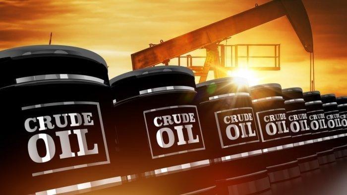Imbas Perang Rusia Kepada Ukraina, Harga Minyak dan Gandum Meroket,Indonesia Berpeluang Kena Hantam?