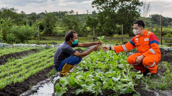 Pertamina Hulu Indonesia Gelar Webinar Nasional Upaya Membangun Kemandirian Masyarakat