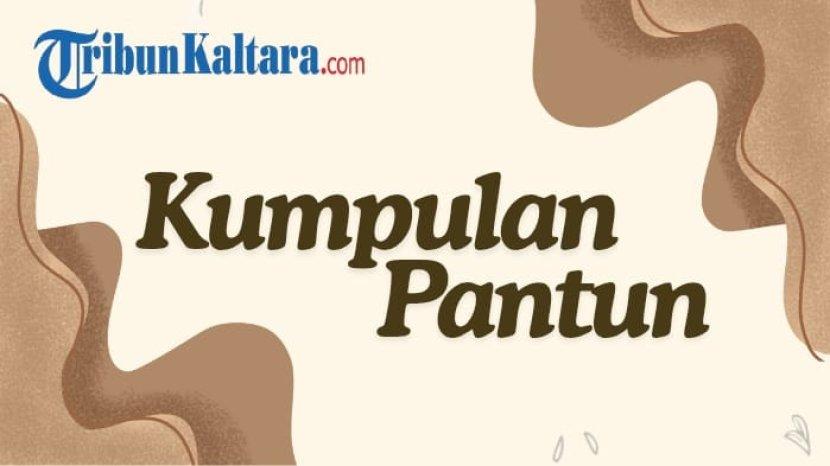 Tribun