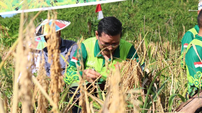 Tribun