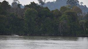 Aktivitas-pencarian-dan-penyelamatan-korban-hilang-di-sungai-Kabupaten-Malinau-fbd.jpg