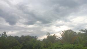 Cuaca-di-Tanjung-Selor-18072025jpg.jpg