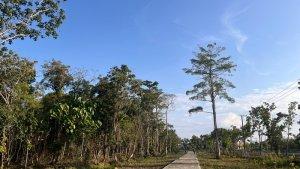 Cuaca-di-Tanjung-Selor-e6ujhr.jpg