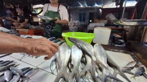 Ikan-Bandeng-di-Tarakan-06102025jpg.jpg