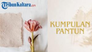 Ilustrasi-kumpulan-pantun-9.jpg