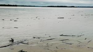 Kondisi-Sungai-Sesayap-Tana-Tidung-111025.jpg