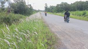 Kondisi-wilayah-Tanjung-Selor-hari-ini-berawan-whtrhfb.jpg
