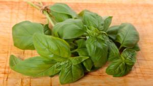 Manfaat-daun-kemangi-1.jpg