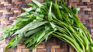 Manfaat-kangkung-1.jpg