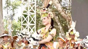 Pagelaran-budaya-dari-beberapa-etnis-di-Kaltara-161125.jpg