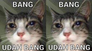 Pantun-patah-hati-ilustrasi-meme.jpg