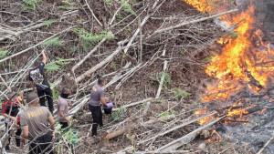 Salah-satu-lokasi-kebakaran-hutan-dan-layan-Bulungan.jpg