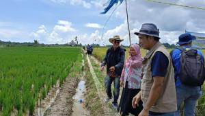 lahan-pertanian-Nunukan-mencapai-sekira-1700-hektare.jpg